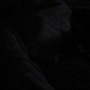 Meet your Posher, Shawnette